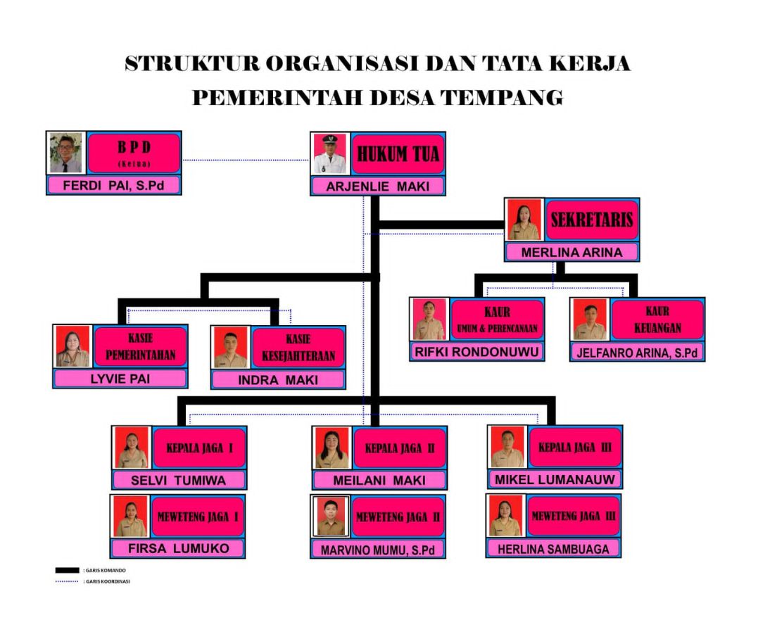 Struktur Organisasi Pemerintah Desa Tempang